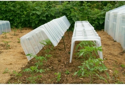 Serre tunnel de forçage rigide - Lot de 3 bases +