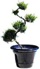 Pot bleu gamme le toscane 37 cm Pot bleu gamme le toscane