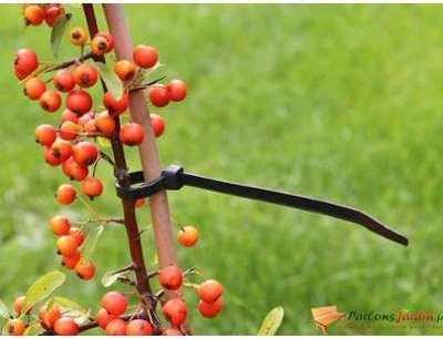 25 colliers de serrage pour tuteurage type Colsons 25 colliers de serrage pour