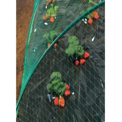 Filets anti-oiseaux 2x10m Birdnet - Lot de 2