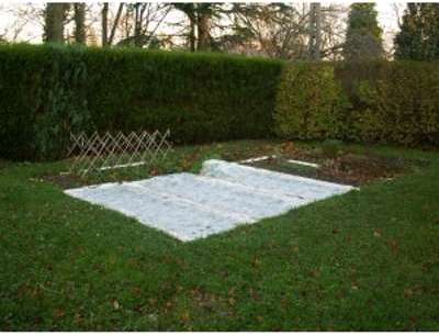 Voile dhivernage 1,6mX100m (30g/m2)