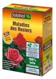 Maladies des rosiers