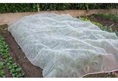 Voile de protection anti-insectes