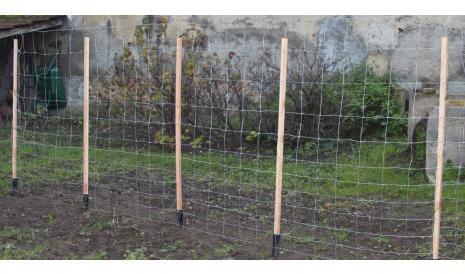 Support à rames pour plantes grimpantes