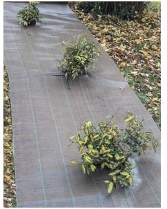 Toile de paillage marron 2,10mX100m (130g/m2)