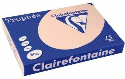 Clairefontaine Trophée teinte Pastel coloris Saumo