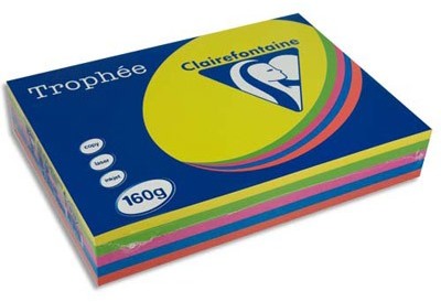 Papier couleur Trophée coloris assortis intenses.
