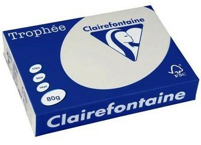 Papier couleur Trophée gris perle. Format A3 29,7