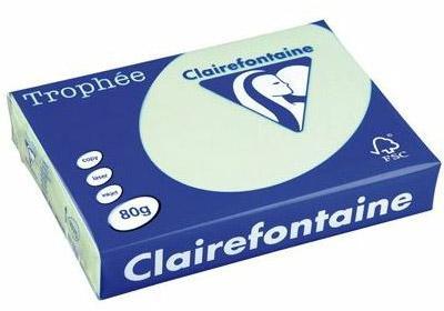 Clairefontaine Trophée teinte pastel coloris Vert.