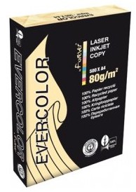 Ramette papier Evercolor A4 80 gr 500 feuilles Jau