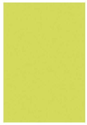 Paper Pollen format A4 21 x 29,7 cm coloris vert b