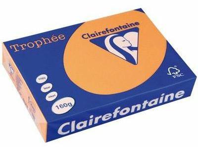 Clairefontaine Trophée teinte vive coloris Clément
