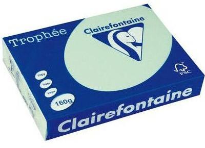 Clairefontaine Trophée teinte Pastel coloris Vert.