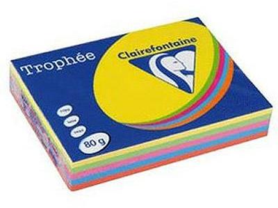 Papier couleur Trophée coloris assortis intense so