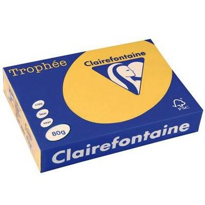 Papier couleur A3 Clairefontaine Trophée teinte vi