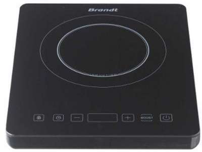 Plaque induction Brandt induction TI2002