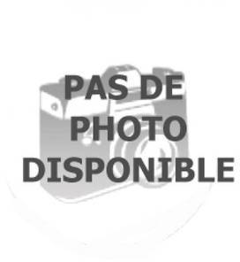 A010006229 pour Compact ICE Anse