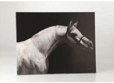 Toile cheval blanc 90x120 cm Toile cheval blanc 90x120