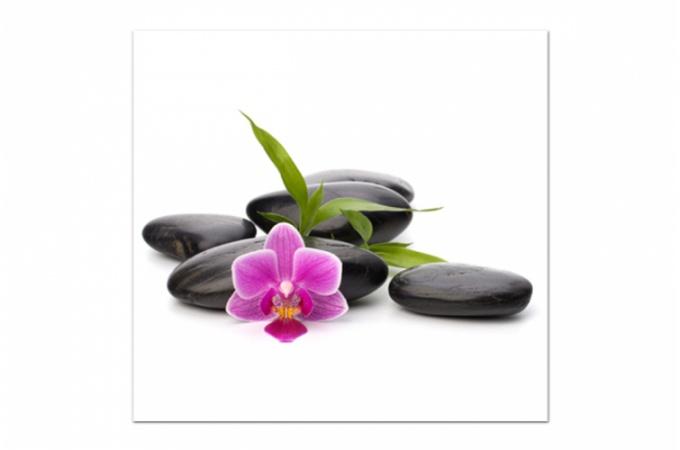 Promo : Tableau Zen Galets et Petite Fleur Rose 80