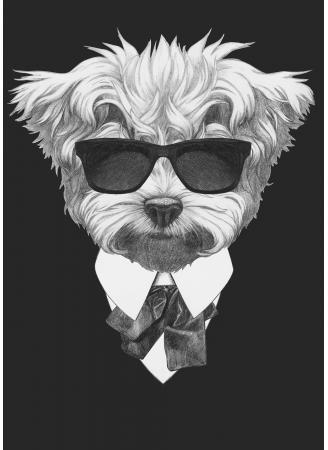 Tableau Frisé Cool Portraits L.55 x H.80 cm Declik