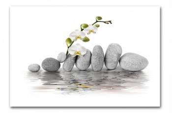 Tableau Zen Galets et Orchidée L.80 x H.55 cm Decl