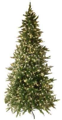 Sapin LED Vancouver 225cm avec 550 LED s Sapin LED Vancouver 225cm