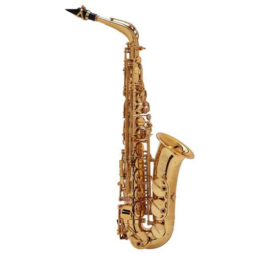 SELMER SERIE II JUBILEE SAXOPHONE ALTO VERNI GRAVE