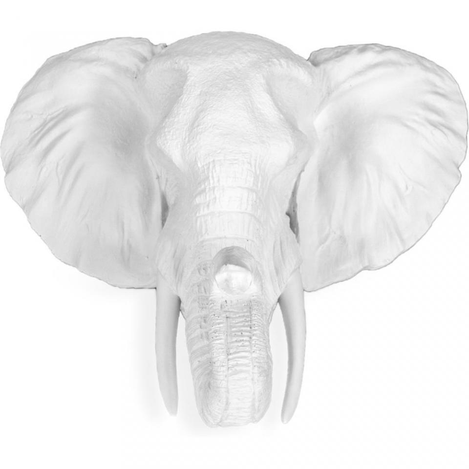 Tête d?éléphant Taxidermie ? Résine multicolor