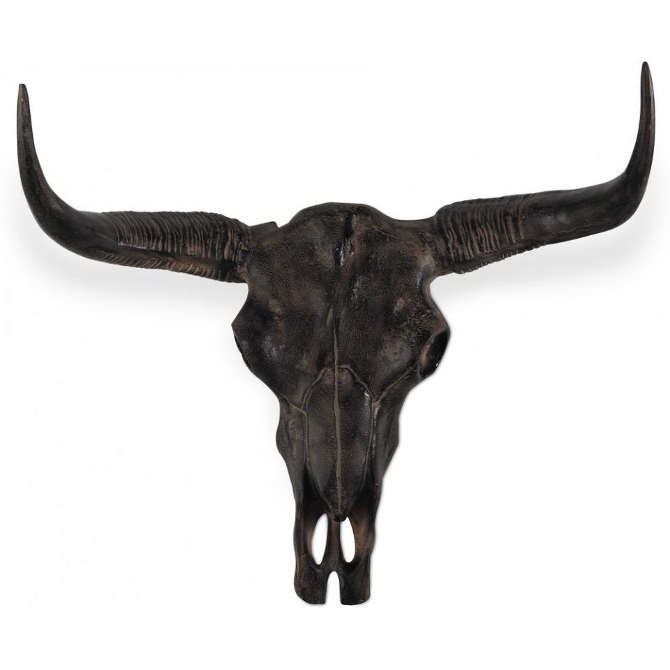 Crâne Taxidermie ? Résine Marron
