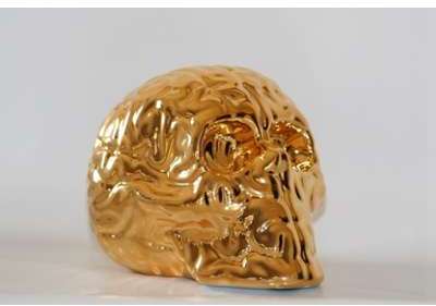 Skull Brain GOLD by Emilio Garcia