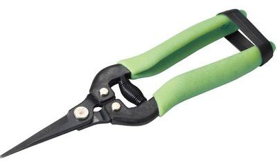 Epinette à lames droites Cap Vert - CAPVERT