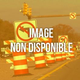 Porte Pour Clôture De Chantier Verte