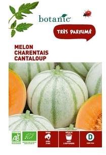 Melon Charentais Cantaloup AB BIO