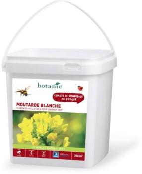 Moutarde blanche 250 m²