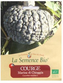 Graines bio - Courge marina di chioggia 12gn graines Graines bio - Courge marina