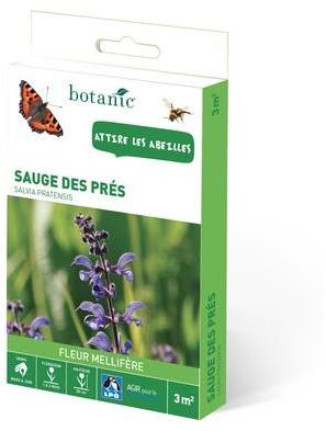 Sauge des prés