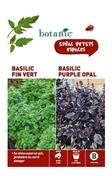 Basilic fin vert + basilic purple opal Duo aromati