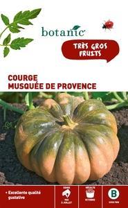 Courge Musquée de Provence Caillard