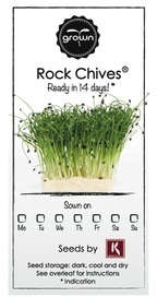 Recharges Plantes Aromatiques CressToday - Ciboule