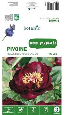 Bulbe de Pivoine - Rouge