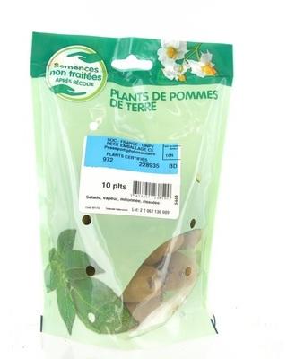 Pommes de terre Charlotte calibre 25/32, 10 plants