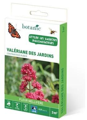 Valèriane des jardins