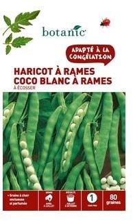 Haricot a rames a ecosser coco blanc a rames 80 Graines Haricot a rames a ecosser