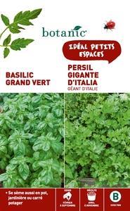 Basilic grand vert + persil gigante ditalia Duo a