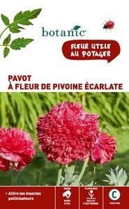 Pavot à fleur de pivoine écarlate x 2 sachets