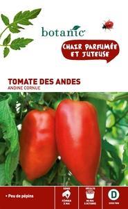 Tomate des andes (andine cornue) Caillard Tomate des andes (andine cornue)