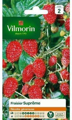 Fraisier des 4 saisons supreme