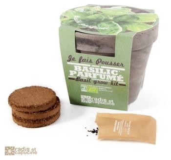 Pot terre cuite Basilic Grand Vert Pot terre cuite Basilic Grand