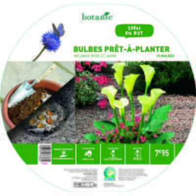 19 bulbes en mélange prêt à planter ? Rose/Jaune