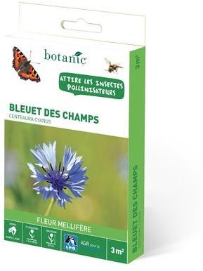 Bleuet des champs